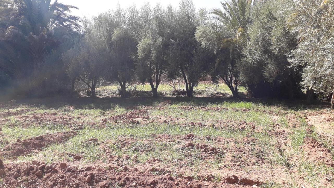 Riad Sarayas Tajda 외부 사진