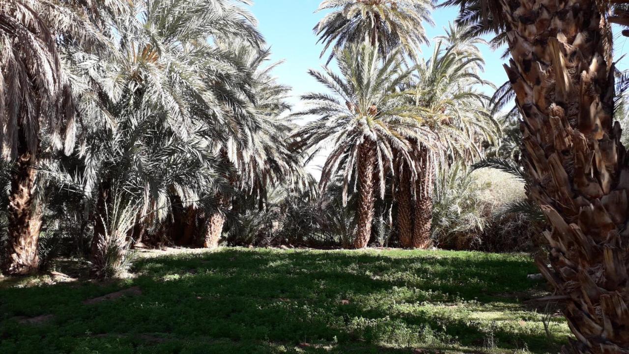 Riad Sarayas Tajda 외부 사진