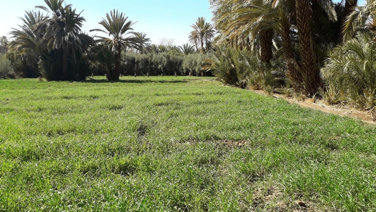 Riad Sarayas Tajda 외부 사진
